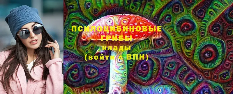 omg как войти  Лахденпохья  Галлюциногенные грибы Psilocybe 